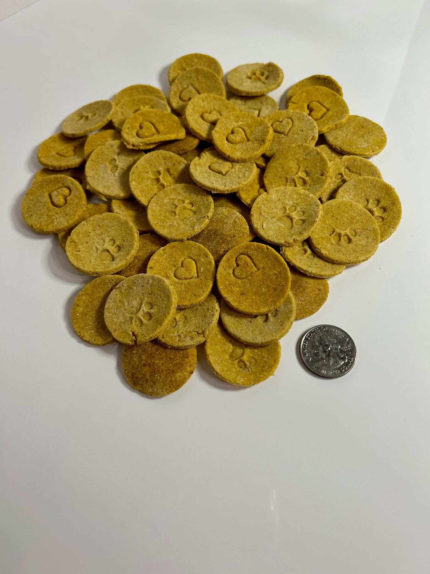 Large size 1.5in round stamped pumpkin dog treats
