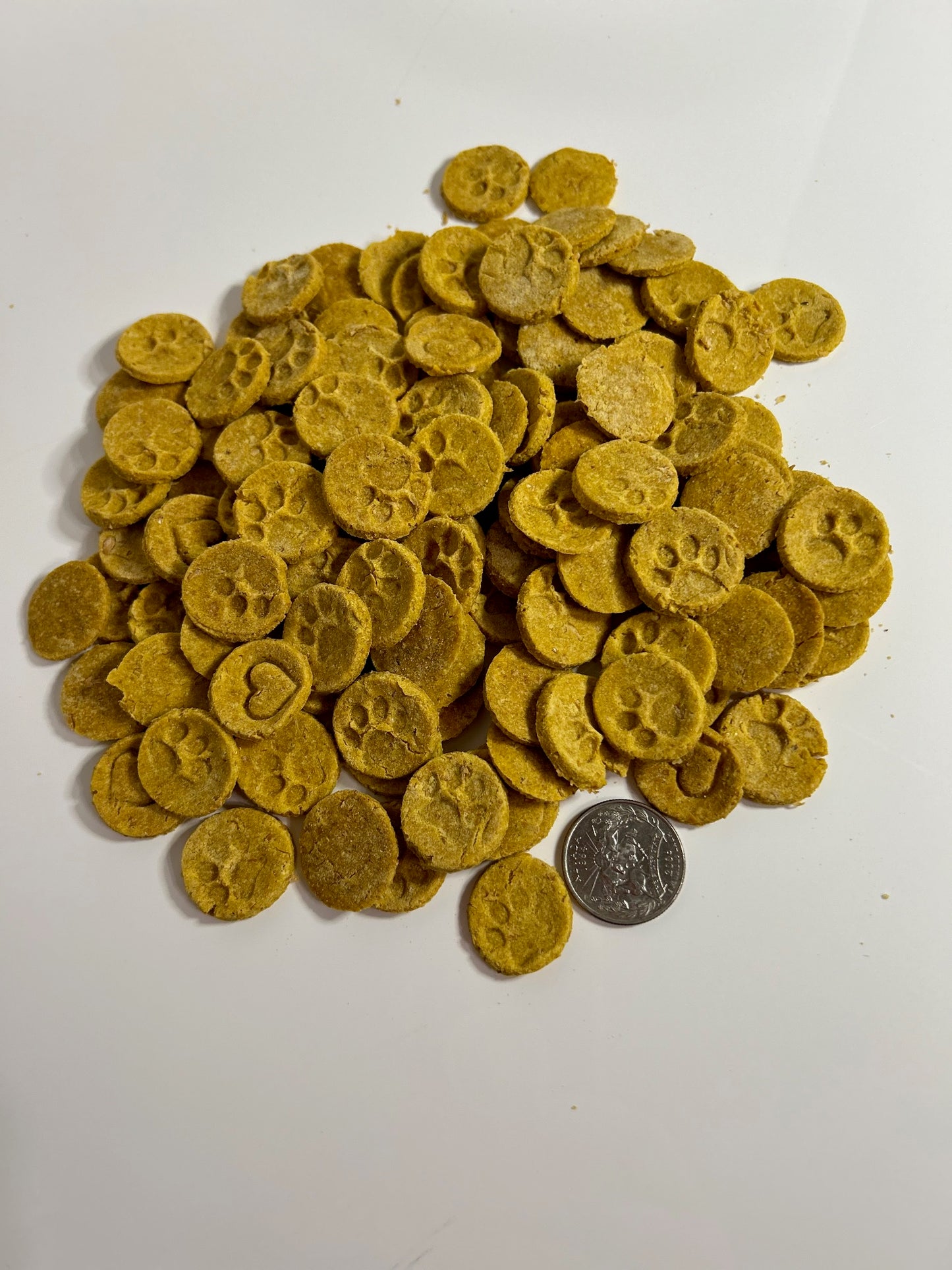 small size .5in round stamped pumpkin dog treats